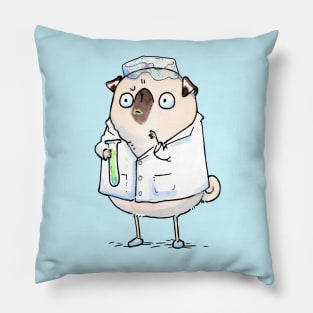 The Scientist Pillow