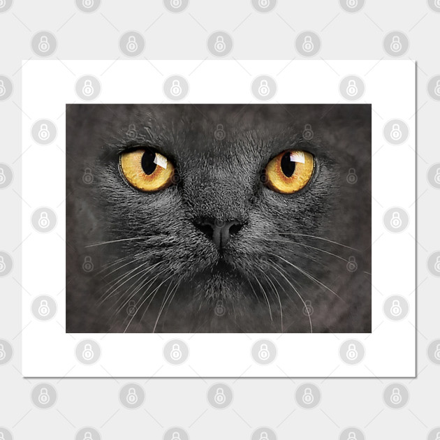 Black Cat Mouth Mask Evil Cat Eyes Mouth Mask For Kitten Lovers