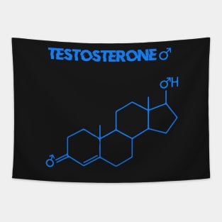 Testosterone male Hormone Chemical Structure Tapestry