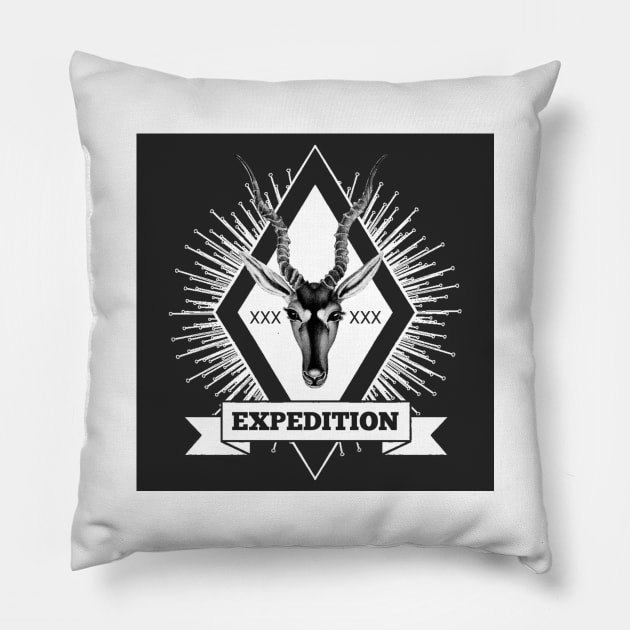 EXPEDITION Pillow by Harry44