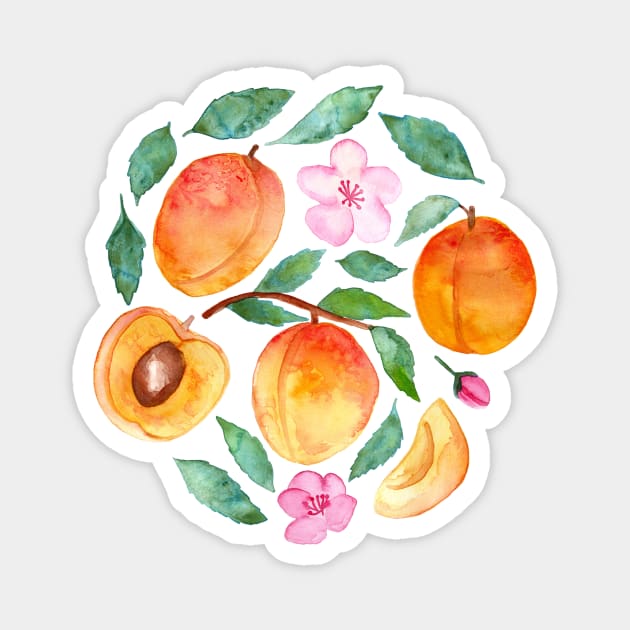 Apricot Abundance Magnet by tangerinetane