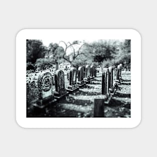 Fall Cemetery Magnet