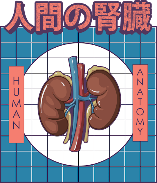 Human Kidney Anatomy Kids T-Shirt by AtifSlm