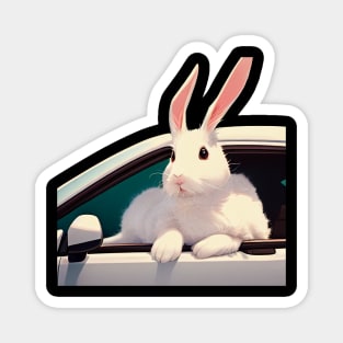 A Bunny Rabbit Feeling the Wind in a Car Magnet