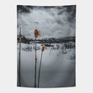 Winter's Dramatic Ballet V4 Tapestry