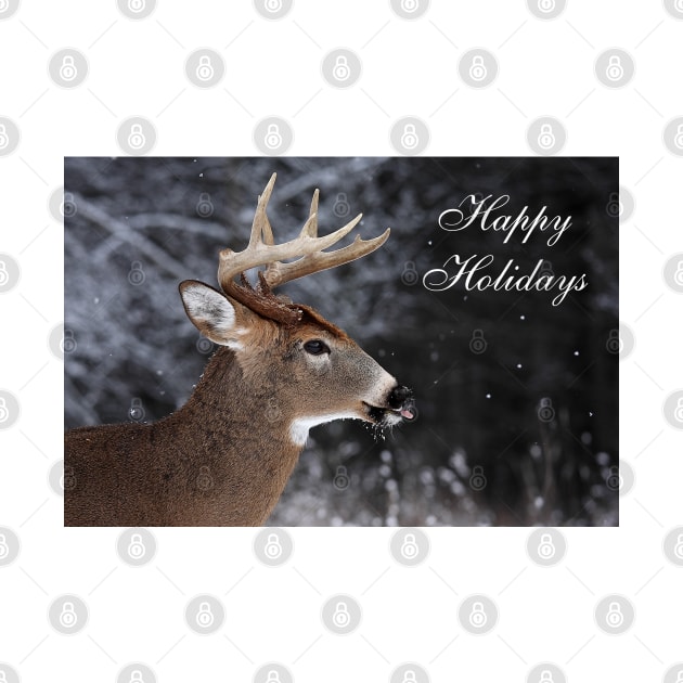 Deer Christmas Card by Jim Cumming