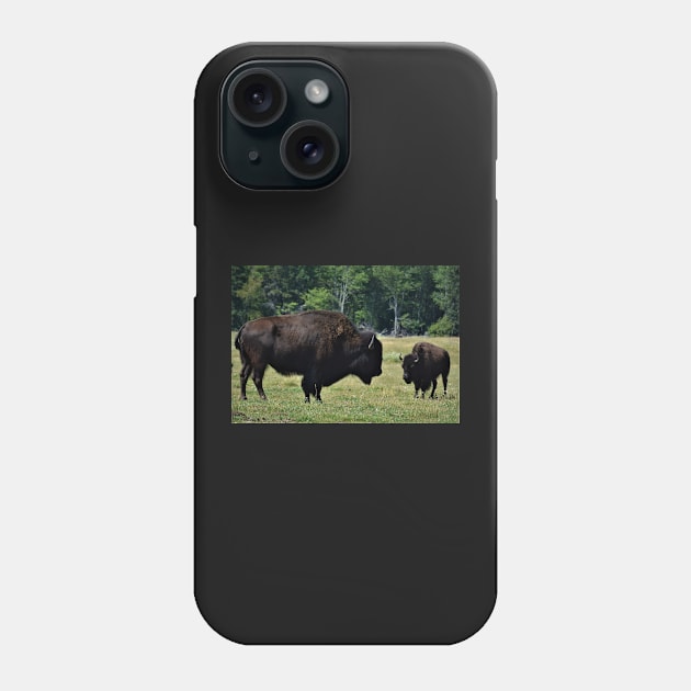 Buffalo's in Prince Edward Island Phone Case by rconyard