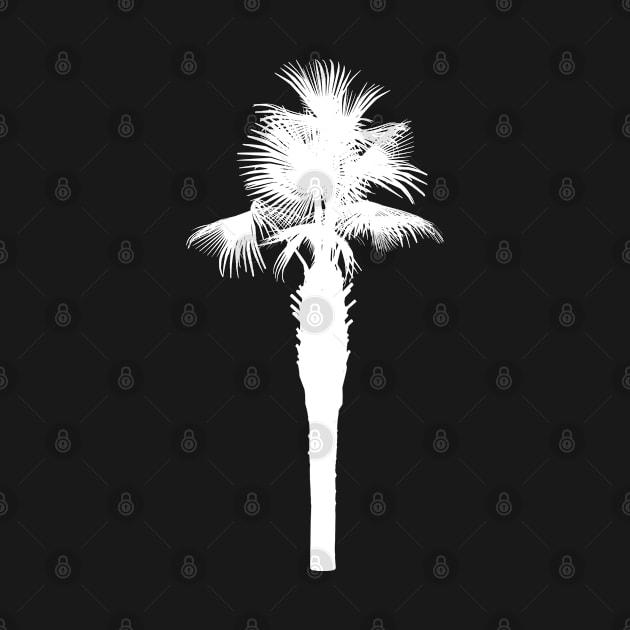 Palm by ShirtyLife