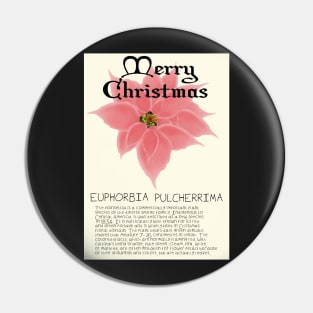 Pink Poinsetta Genus Christmas Card Pin