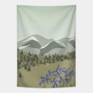 Rawah Wilderness, Colorado Tapestry