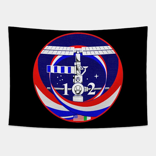 Black Panther Art - NASA Space Badge 57 Tapestry by The Black Panther