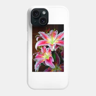 Pink Lily Lilium Herbaceous Flowering Plants Phone Case