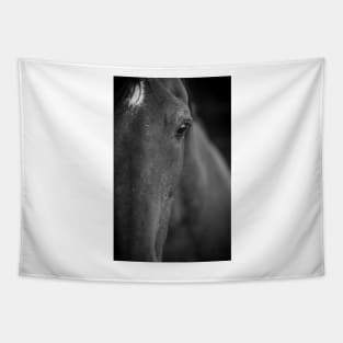 Horse soul Tapestry