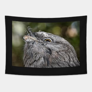 Tawny Frogmouth Resting Tapestry
