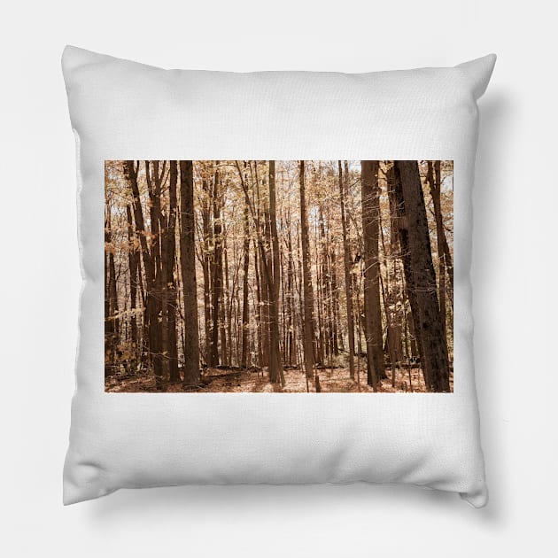 Autumn deep in forest scene on a trail in New England countryside, USA. Pillow by brians101