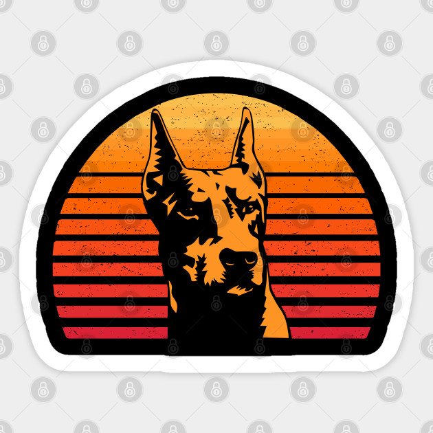 doberman apparel