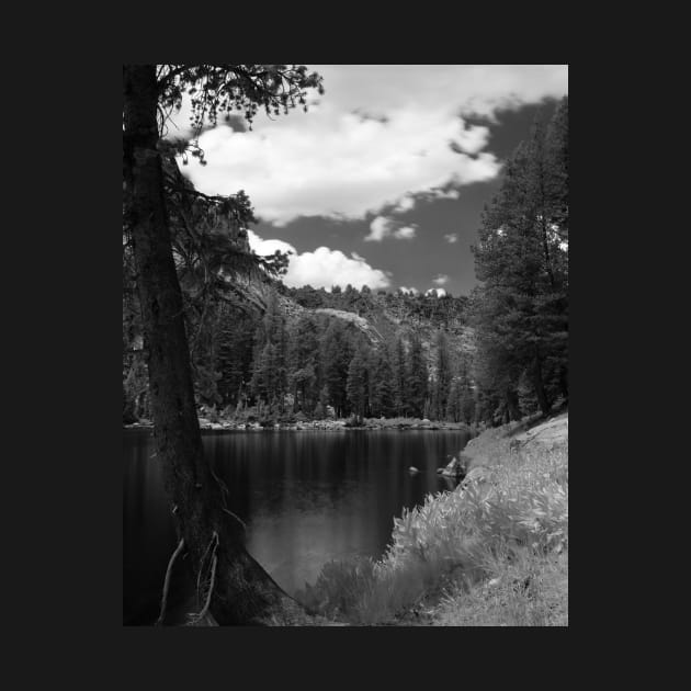 Ten Lakes Basin - Yosemite N.P. by rodneyj46