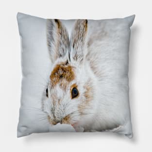 Show Shoe Hare Pillow