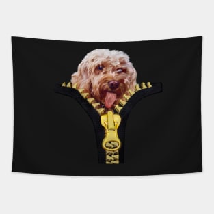 Doggy in my pocket - Cavapoo Cavoodle puppy sticking it’s tongue out - cute cavalier king charles spaniel Tapestry