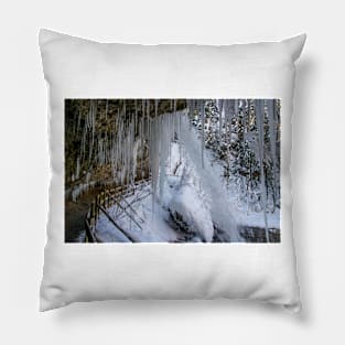 Scheidegg First Waterfall in winter Pillow