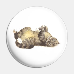 Tabby cat Pin