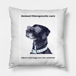 Animal Chiropractic care, where tail wags are our reviews! Pillow