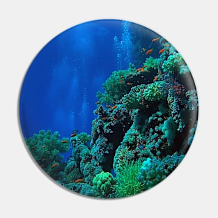 Red Sea Coral Reef Pin