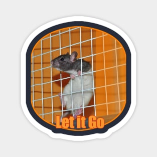 Caged animals Freedom Rat Magnet