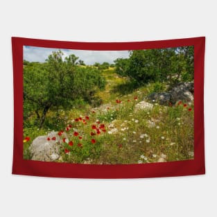 Olive Trees and Wild Flowers on Brac, Croatia Tapestry