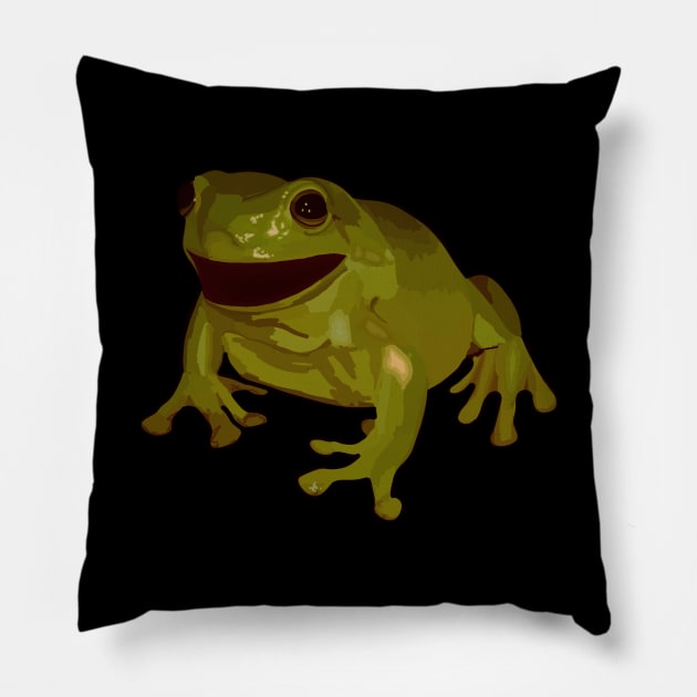 Frog Pillow by coma8taylor8@gmail.com