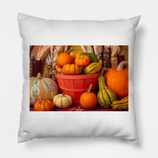 Orange Basket With Autumn Gourds Pillow