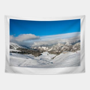 Courchevel 1850 Three Valleys French Alps France Tapestry