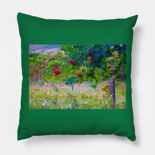 Clusters of red rowan berries in the Scottish Highlands Pillow