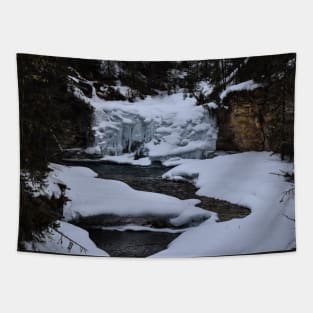 Ice Flow. Tapestry