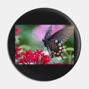 Black Swallowtail II Pin