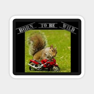 squirrel on motorcycle - Born to be Wild Magnet