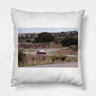 Twisting Road Pillow