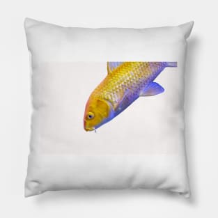 Golden yellow Ogon Koi carp fish Pillow