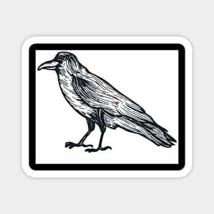 Crow Magnet