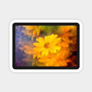 Copy of Yellow flower photographed through prism Magnet