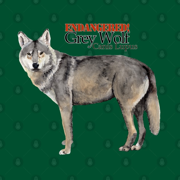 Endangered Grey Wolf by Heather Dorsch Creations