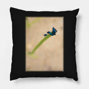 Beach Bugs Pillow