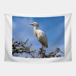 Cattle egret perched on a tree Tapestry