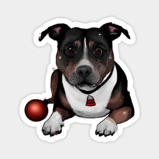 Cute Staffordshire Bull Terrier Drawing Magnet