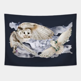 Owls flying in the night Tapestry