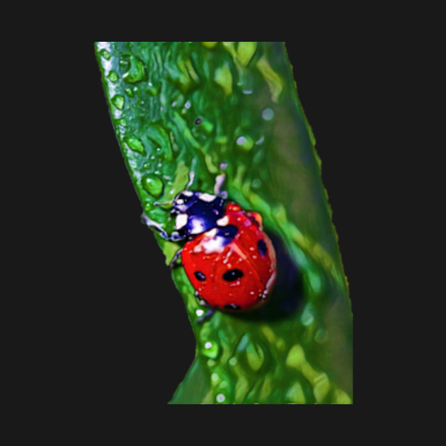 Ladybug Leaf Painting Ladybug Kids T Shirt Teepublic