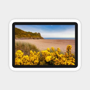 Tor Bay and Great Tor, Gower Magnet