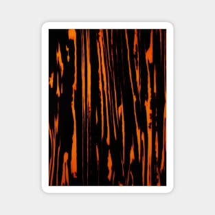 Striped Tortoise Shell Pattern Magnet