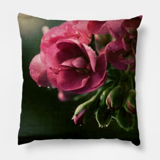 Geranium in Evening Light Pillow