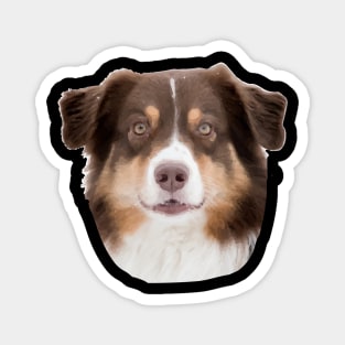 Australian Shepard red tri Magnet